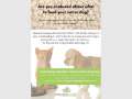 Cat & Dog Nutrition Information Evening