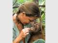 Orangutan Hero visits Brsibane