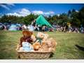 Pine Rivers Park Teddy Bears' Picnic