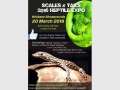 Scales & Tails 2016 Reptile Expo