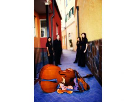 16 Strings String Quartet Brisbane