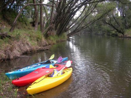 Acacia Canoe Sales and Hire
