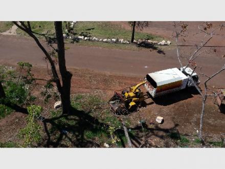 AllRound Tree Services