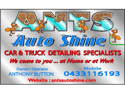 antsautoshine antsautoshine