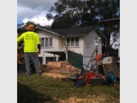 Australian Arbor Care Australian Arbor Care