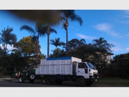 Australian Arbor Care Australian Arbor Care