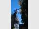 Australian Arbor Care Australian Arbor Care