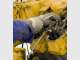 Axial Training and Labour Hire