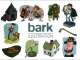 Bark Illustration & Design