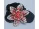 BelleAi Accessories