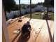 Better Homes & Renovations