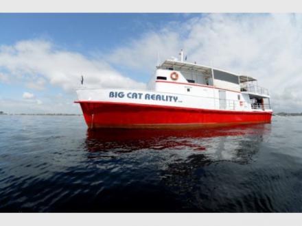 Big Cat Reality - Scuba Diving & Cruises Big Cat Reality - Scuba Diving & Cruises