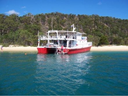 Big Cat Reality - Scuba Diving & Cruises Big Cat Reality - Scuba Diving & Cruises