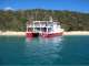 Big Cat Reality - Scuba Diving & Cruises Big Cat Reality - Scuba Diving & Cruises
