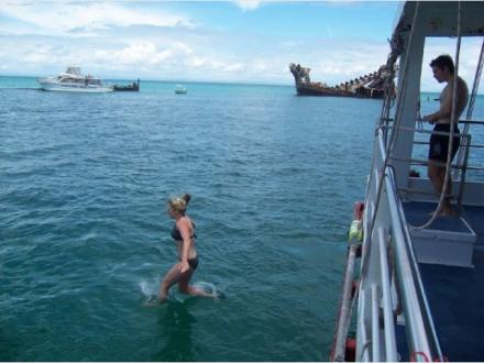 Big Cat Reality - Scuba Diving & Cruises Big Cat Reality - Scuba Diving & Cruises