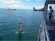 Big Cat Reality - Scuba Diving & Cruises Big Cat Reality - Scuba Diving & Cruises