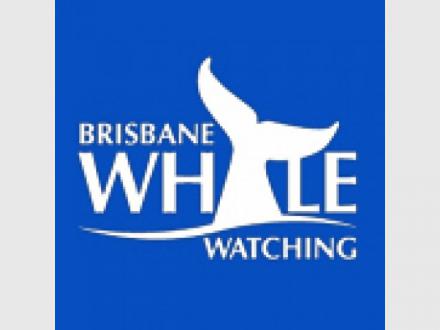 Brisbane Whale Watching Brisbane Whale Watching