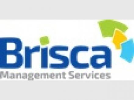 Brisca Management & BPO Services 