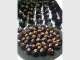 Chocolae-Handcrafted Artistic Chocolates Chocolae-Handcrafted Artistic Chocolates