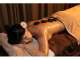 Cool Body Asian Healing