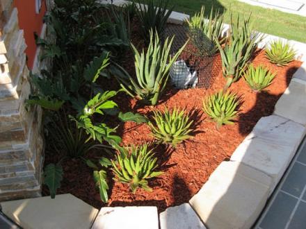 Cpricelandscapes