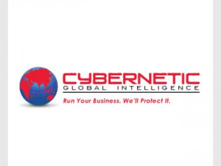 Cybernetic Global Intelligence