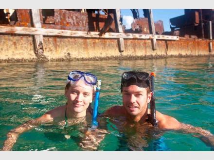 Dolphins in Paradise