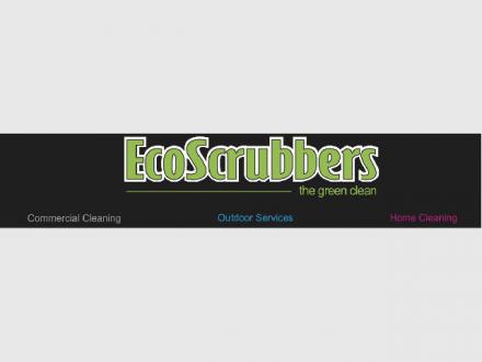 ECOSCRUBBERS - A Green Clean