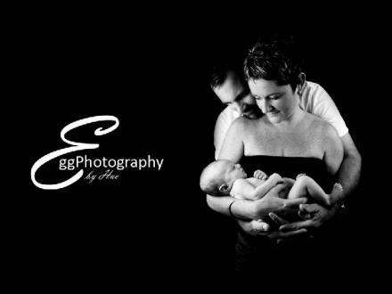 Egg Photography Egg Photography