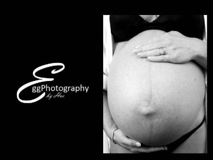 Egg Photography Egg Photography