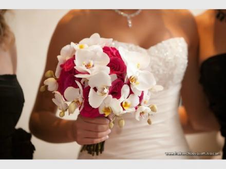 Florabella Design Wedding and Event Florist
