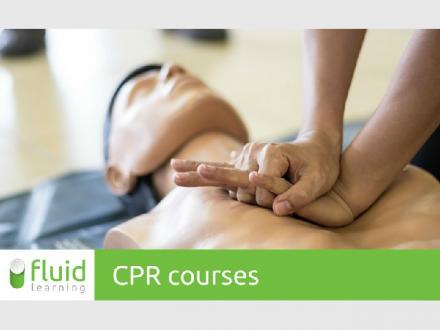 Fluid Learning
