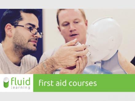 Fluid Learning
