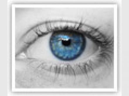 Forrest Eye