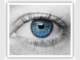 Forrest Eye