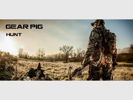 GEAR PIG