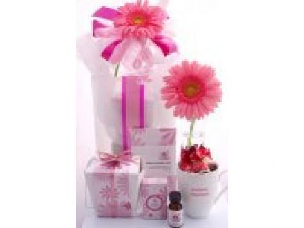 Hamper Me Hamper Me
