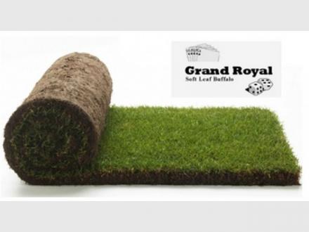 Hanceys Turf