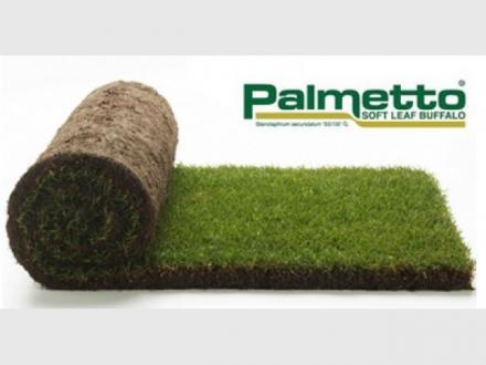 Hanceys Turf