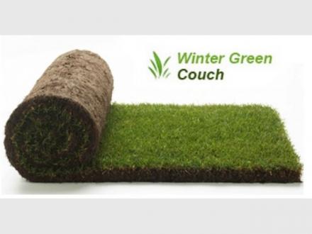 Hanceys Turf