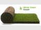 Hanceys Turf
