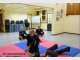 Hapkido Hosinsul