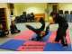 Hapkido Hosinsul