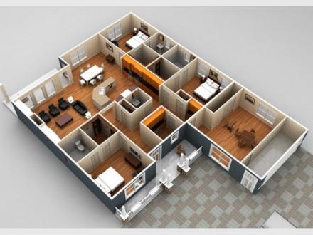 Indesign Access Indesign Access