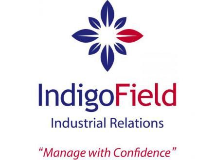 Indigo Field