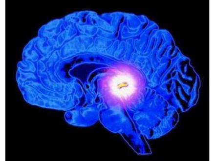 Light Axis Healing Brisbane