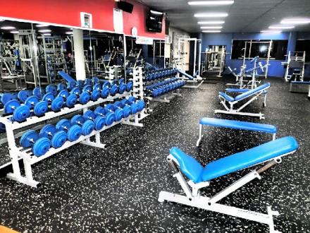 Michael Hermann Personal Training Michael Hermann Personal Training