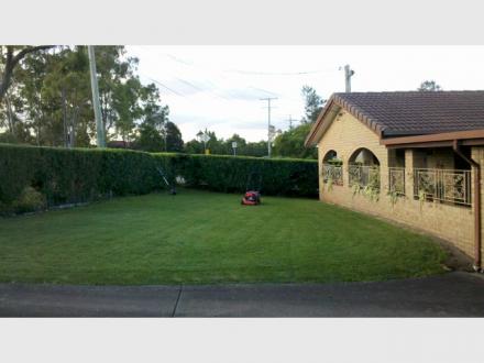 My Mowing Man