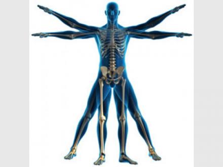North West Physiotherapy