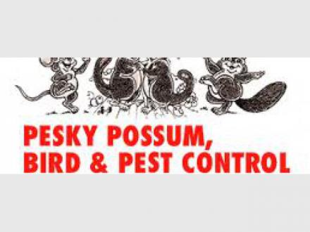 Pesky Possum Pesky Possum